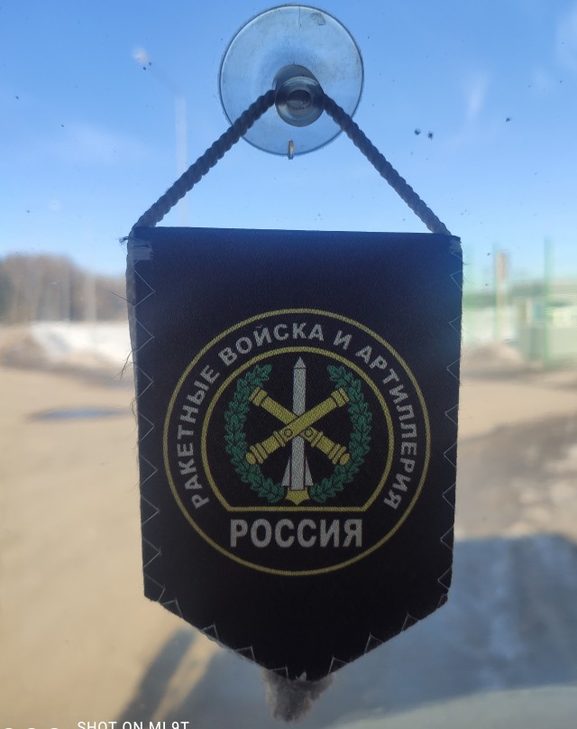 Висюльки в машине