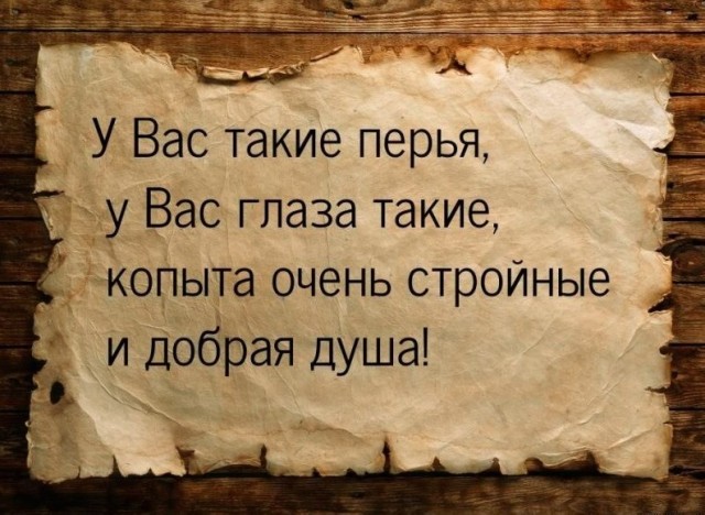 Так себе картинки 03.04.23
