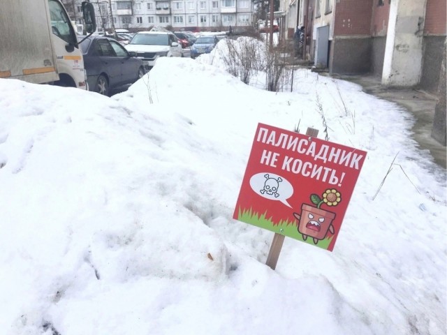 Так себе картинки 07.04.23