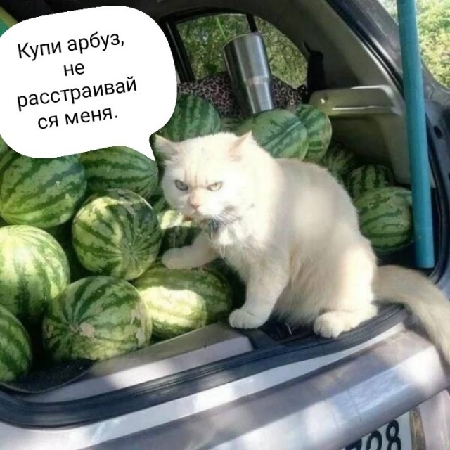 Подборка интересных и прикольных фото из Сети 16.04.23