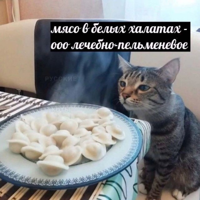 Картинки и мемы, всяко разно - 175