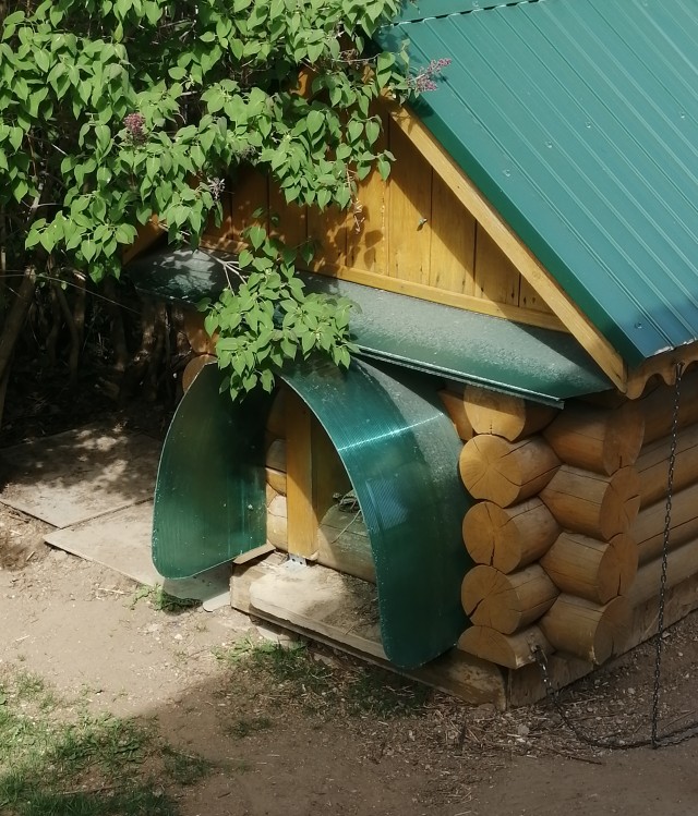 Любовные желания пьяных женщин
