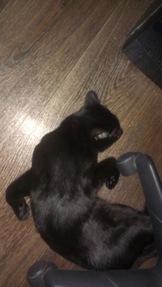 Что?