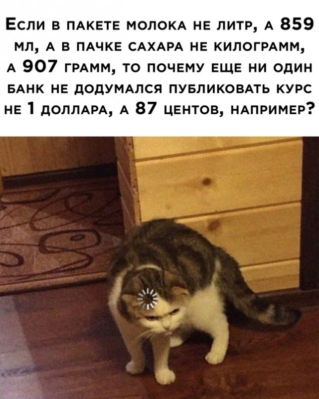 Весёлый полтишок 21.08.23