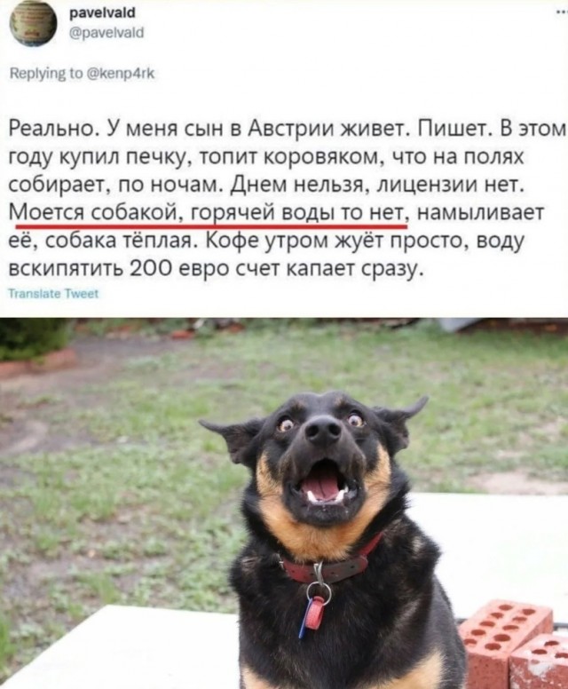 Так себе картинки 30.09.2023