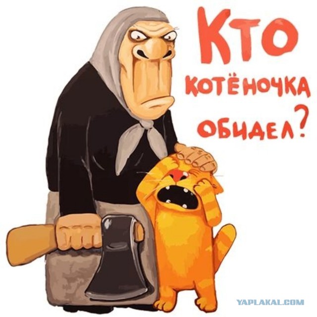 Все нет у меня друга...