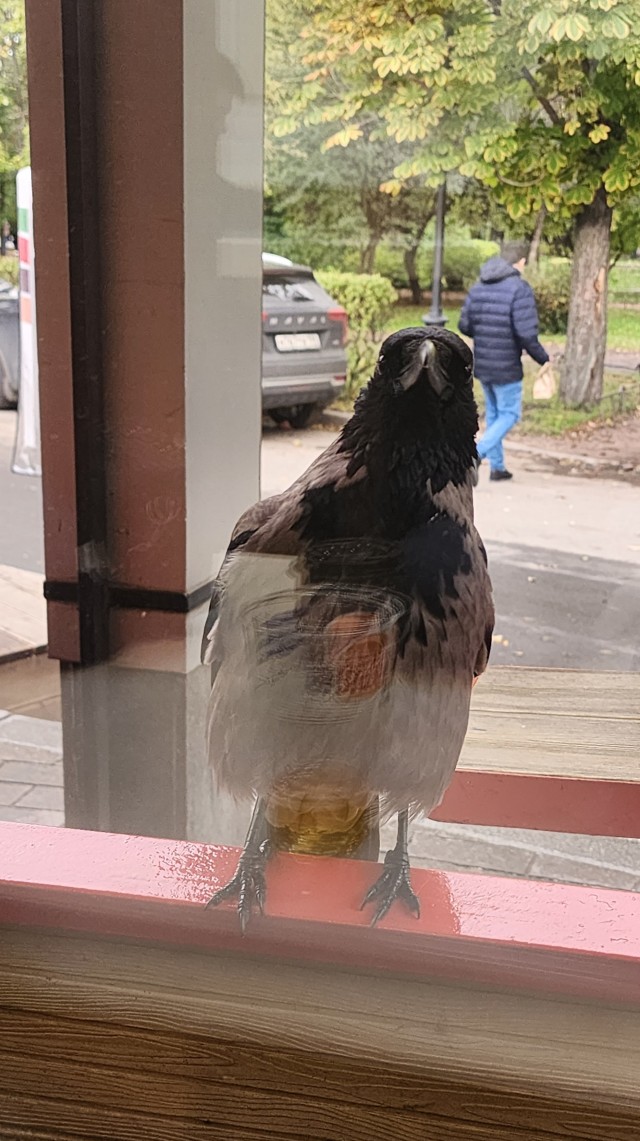 Санкт-Петербург