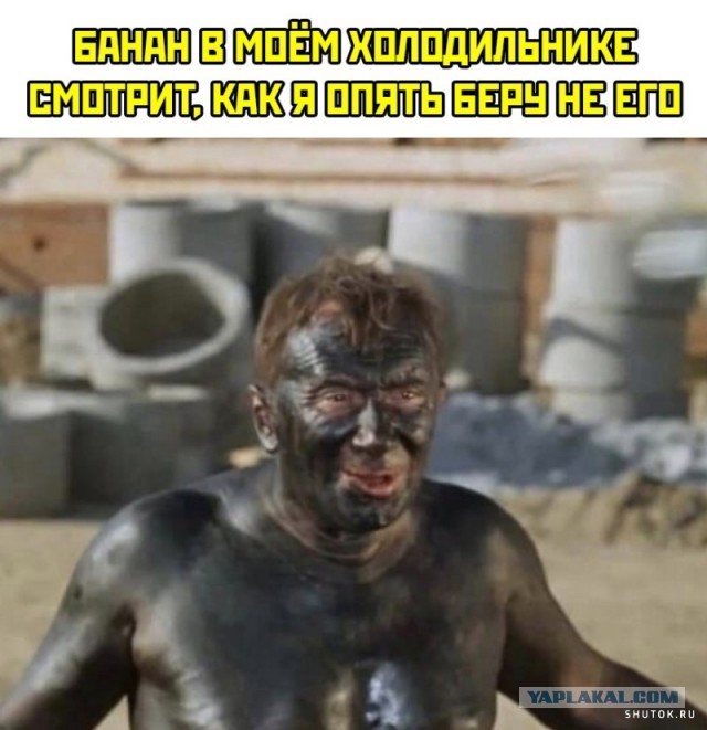 Не много весёлых картинок
