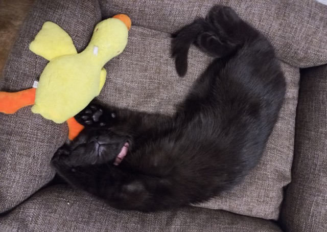Которабство