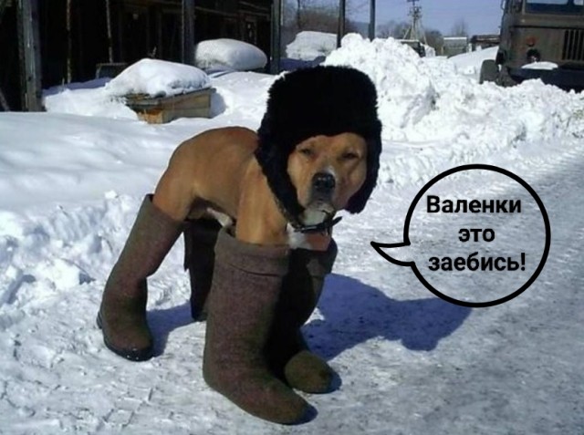 Валенки