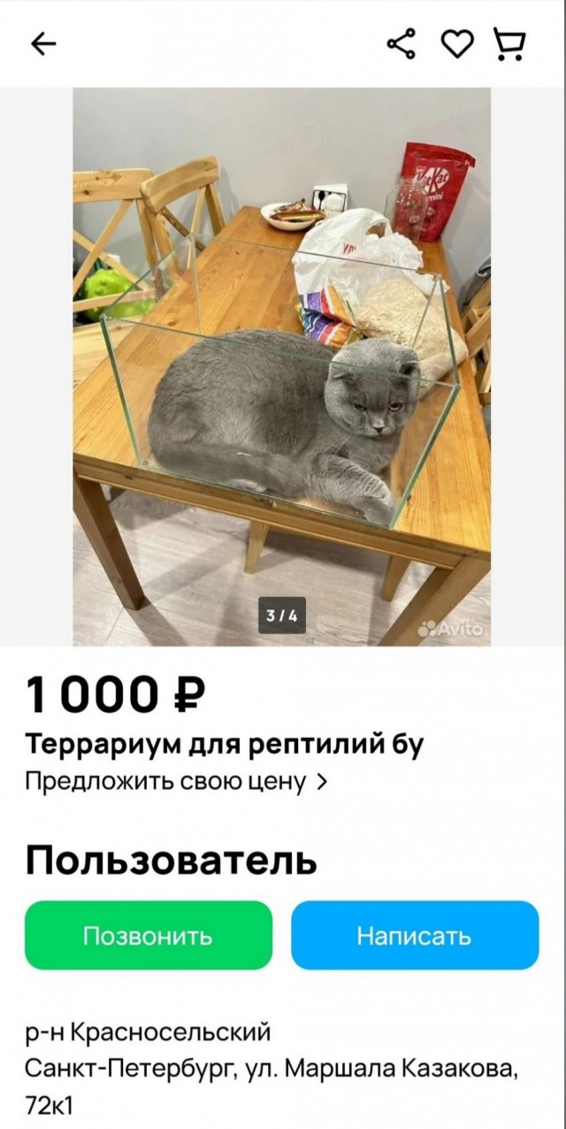 Нуштош 02.02.2024