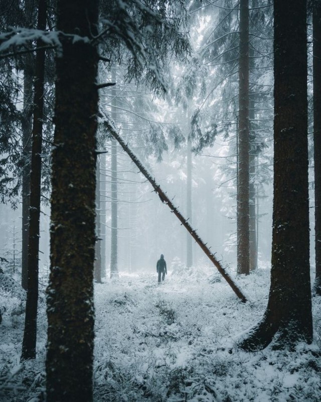 ФотоВинегрет