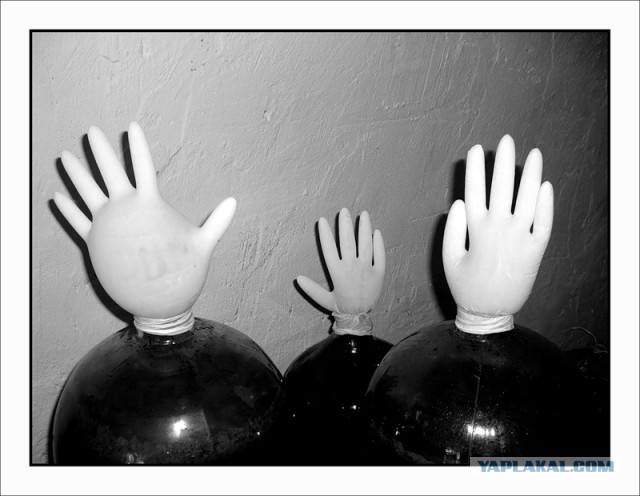 С ДНЕМ РОЖДЕНИЯ, ЯП!