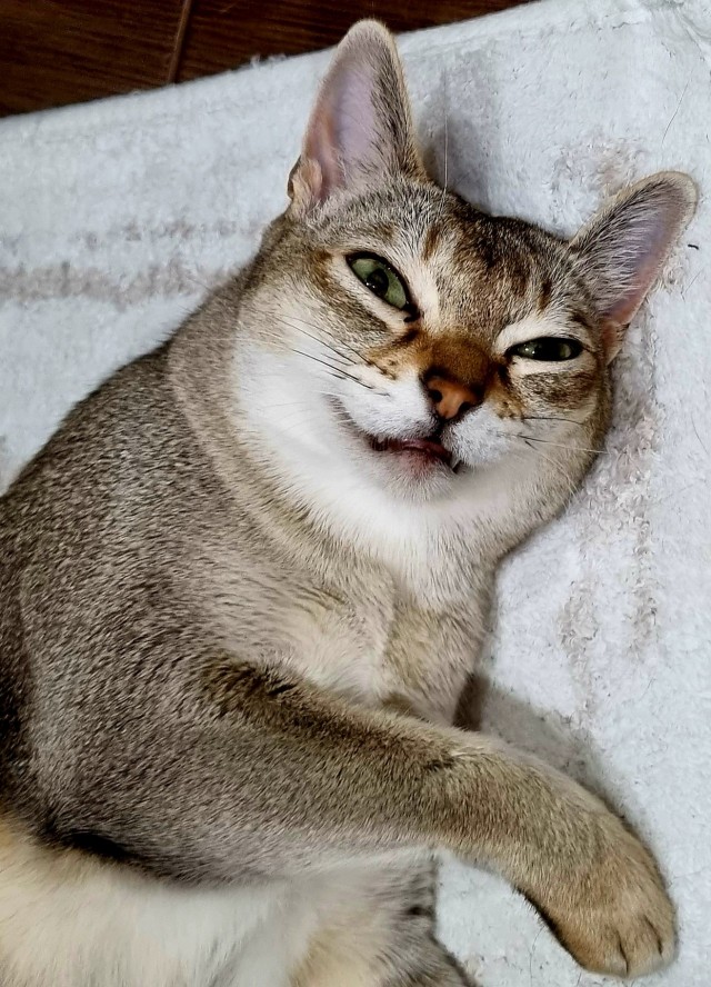 Коть, тебе нормально?