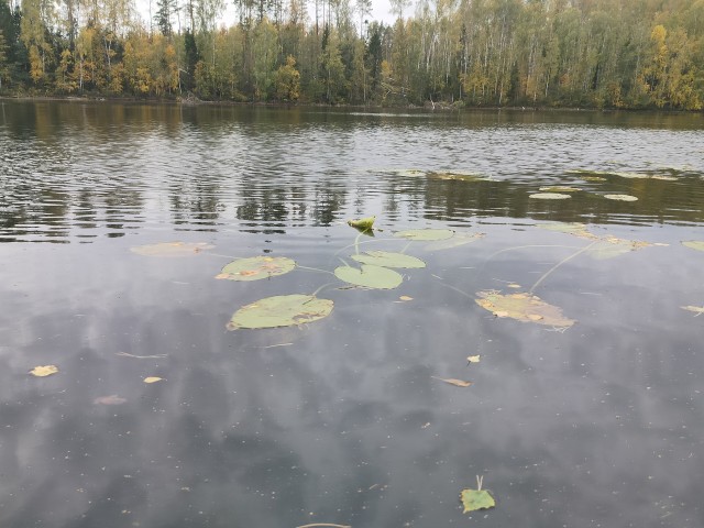 Осень на озёрах
