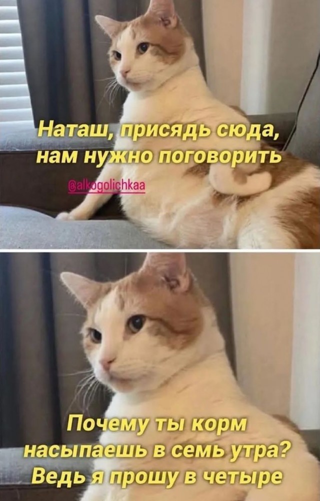 Завалялось тут случайно немного забавных картинок