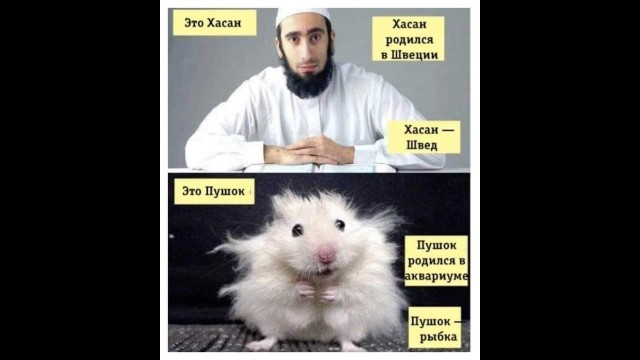 Женщине врачу из Санкт-Петербурга не сдают жилье в Москве