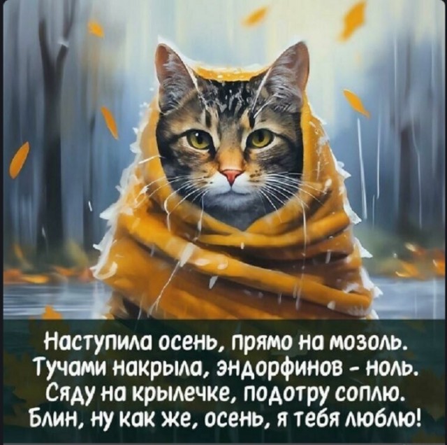 Картинки разные с надписями и без