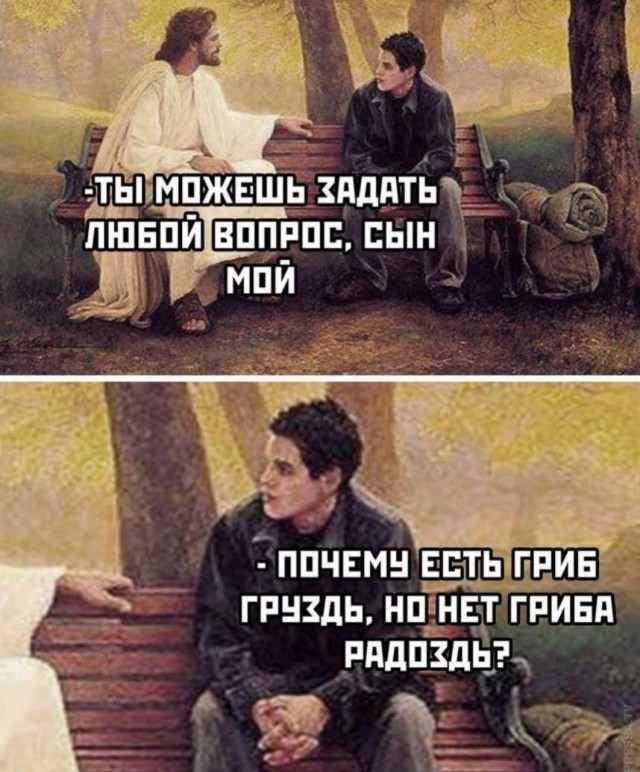 Веселые картинки к понедельнику (14.10)