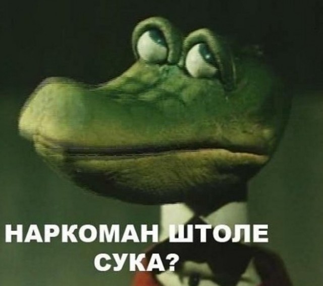 Почему крокодилы злые?