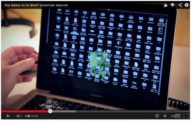 Хау фреш из зэ фиш?