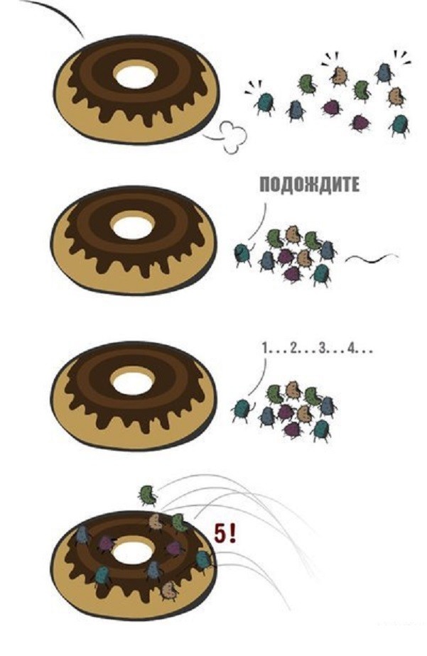 Правило пяти секунд