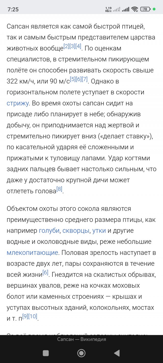 Так охотится Сапсан