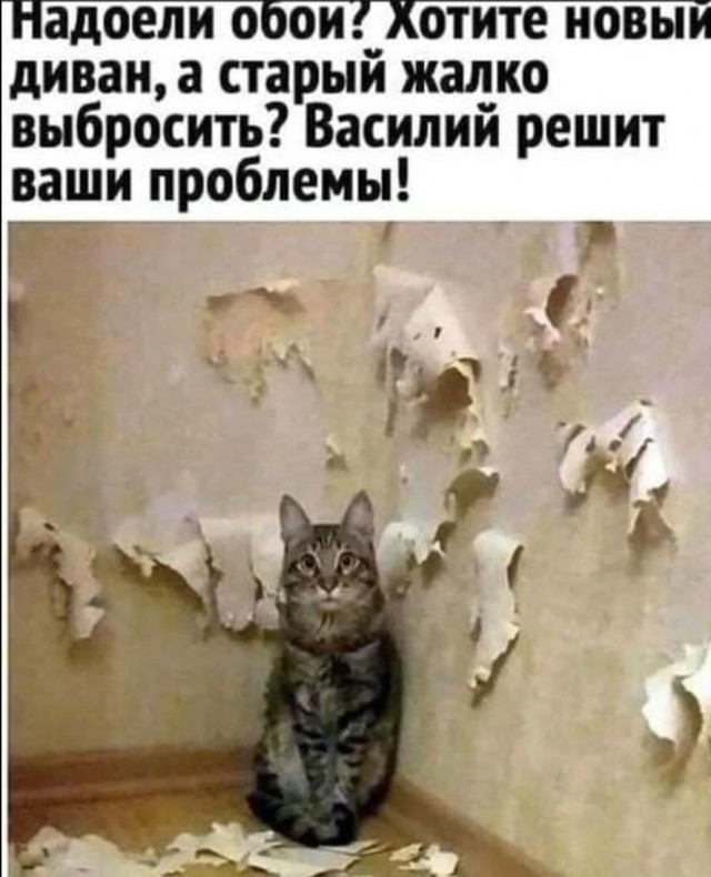 Завалялось тут случайно немного забавных картинок