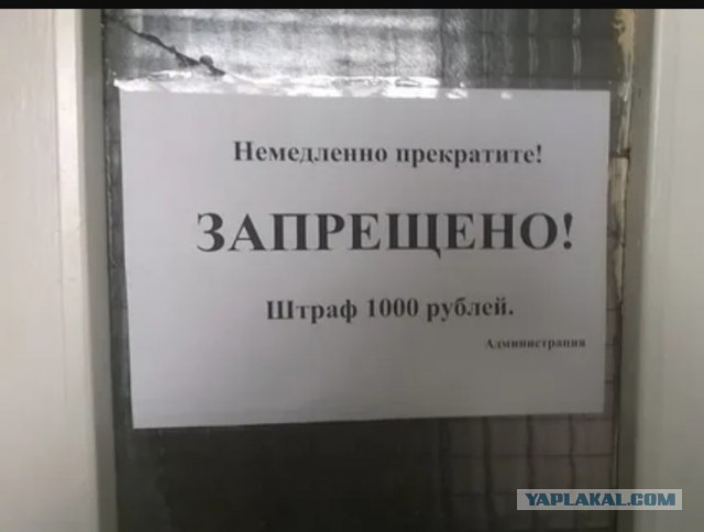 Гимнастка  Елена Шушунова