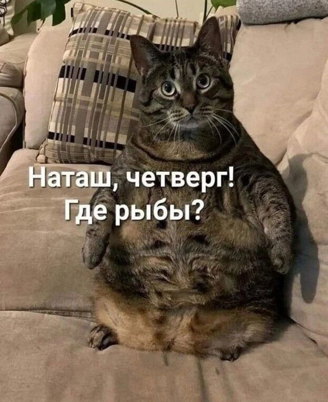 Так себе картинки 26.06.25