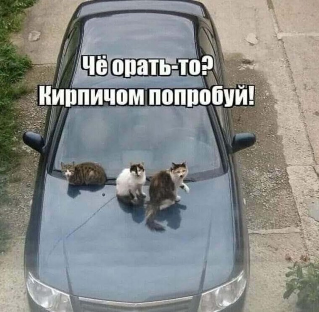 Маленькая пятница. 3.09