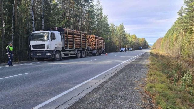 63-летнего водителя МАЗа переехал 66-летний водитель грузового DAF. Водителя МАЗа с тяжелыми травмами доставили в больницу