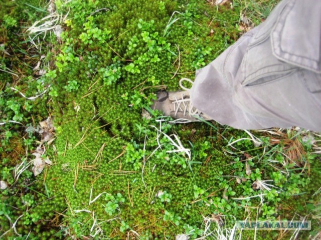 Затерянный уголок России.