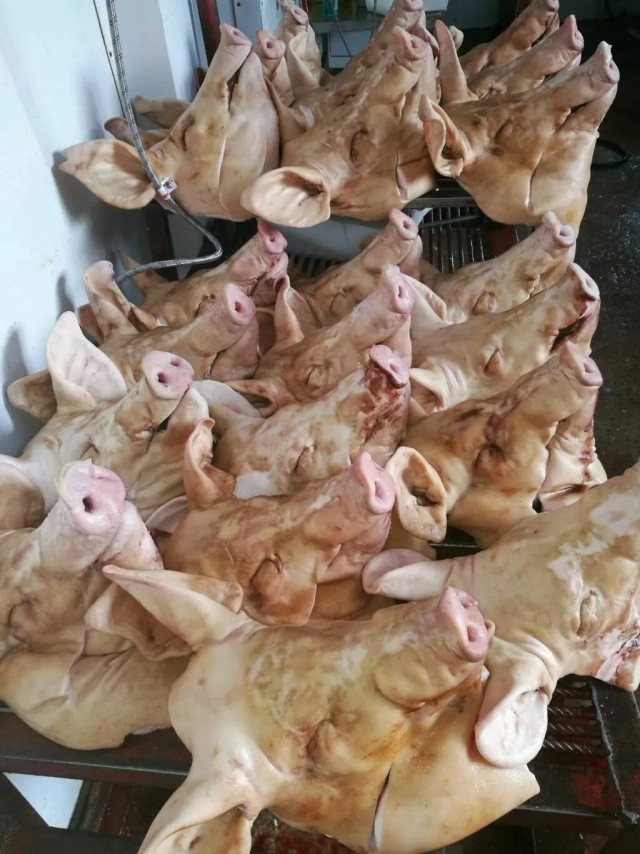 Мечты сбываются