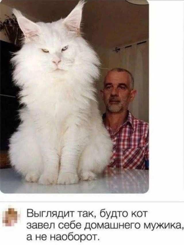 Вторника картинки