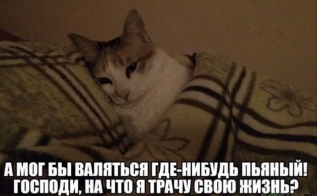 Очень важная информация.
