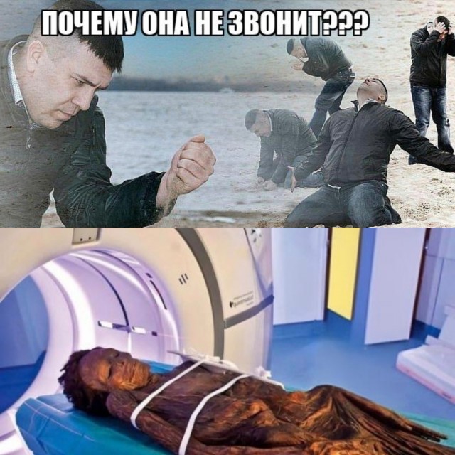 Парни, встречайте замену тарелочниц — "МРТшницы"