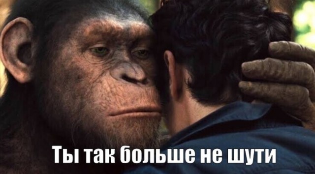 Не все обезьяны, теперь обезьяны!