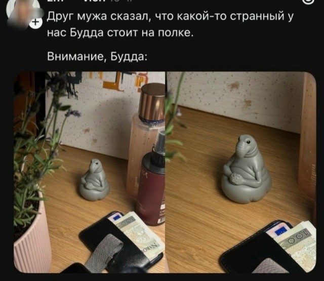 Веселые картинки в пятницу (31.07)