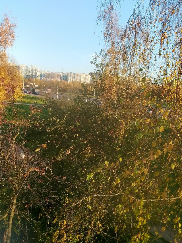 Осень