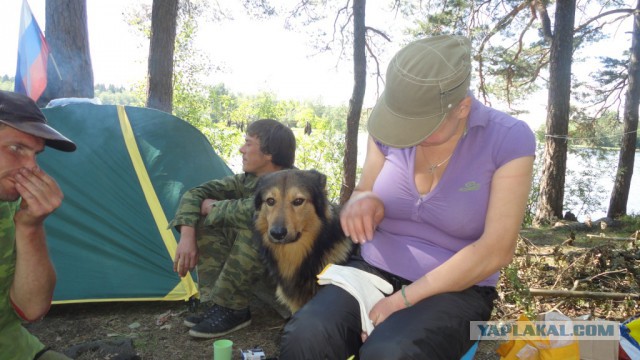 Вуокса 2014