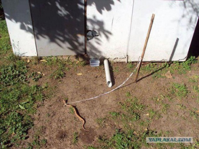 Весёлые картинки