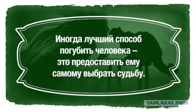 Картинок пачка