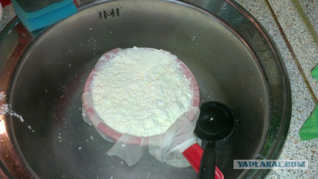 Как зарукожопить домашний сыр