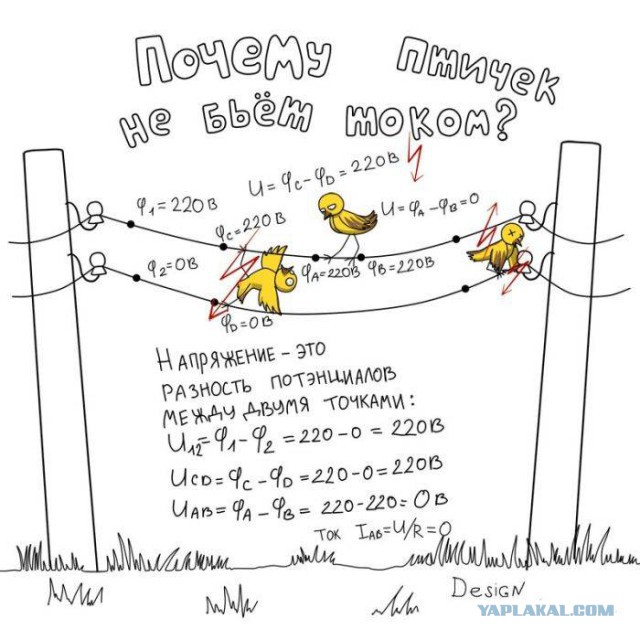 41 веселая картинка