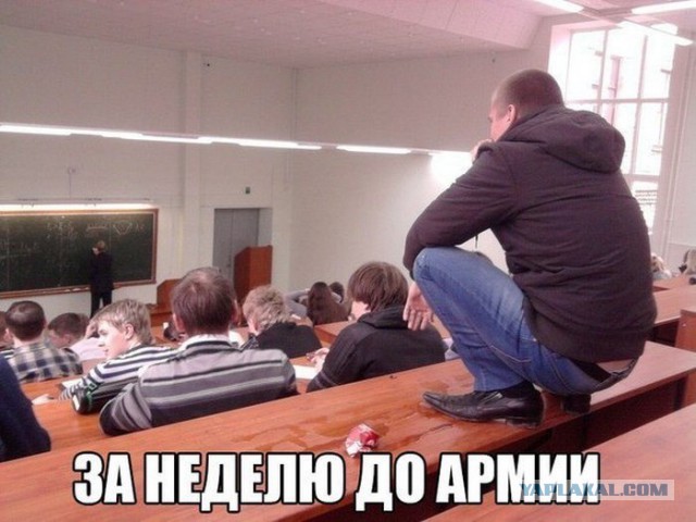 Подборка приколов на пятницу