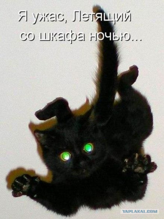Ужас, летящий на крыльях ночи