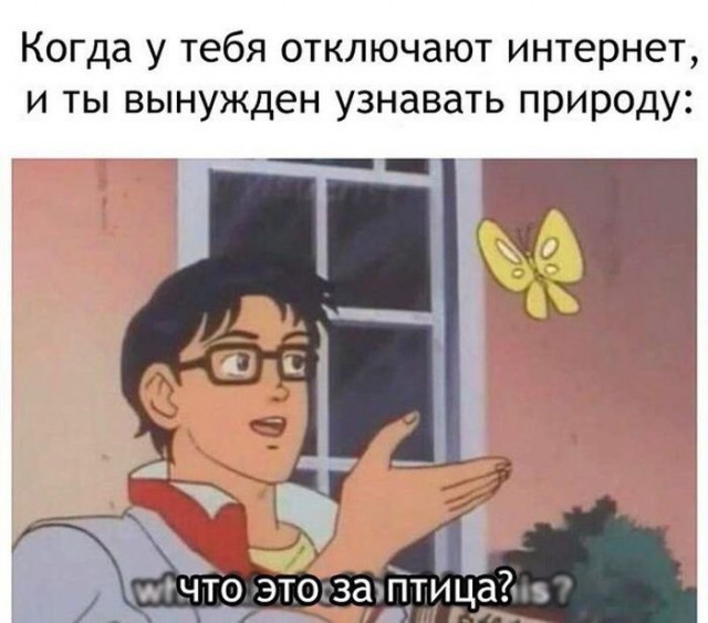 Подборка фотоприколов