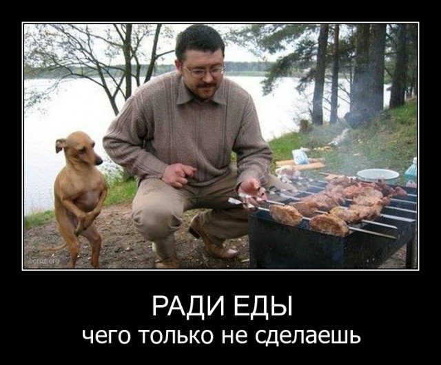 Смешные картинки с надписями