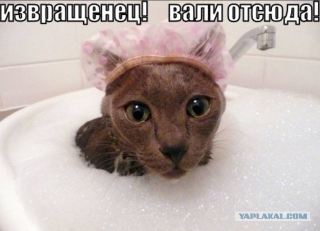 Немного позитива на выходной я начну а вы продолжите